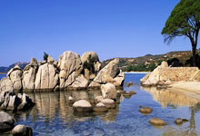 雷竞技网页版-赛前达拉斯独行侠备战NBA季后赛，刷新队史纪录细节曝光，球迷炸锅，控场能力受关注的简单介绍-雷竞技网页版